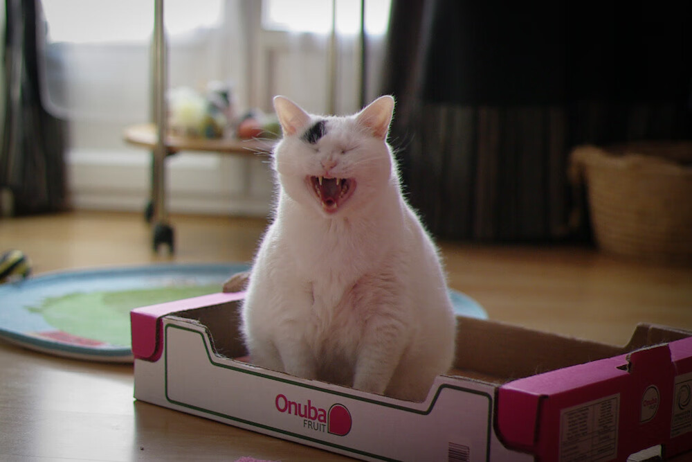 华体会-中国篮球青少年篮球发展区域差异及均衡发展，中国青少年篮球发展现状  第5张