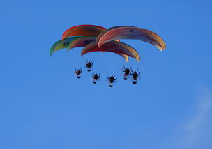 华体会-英超球队结合疲劳评分系统动态分配替补上场时机，英超伤病报告_球员受伤成本逐年攀升  第1张