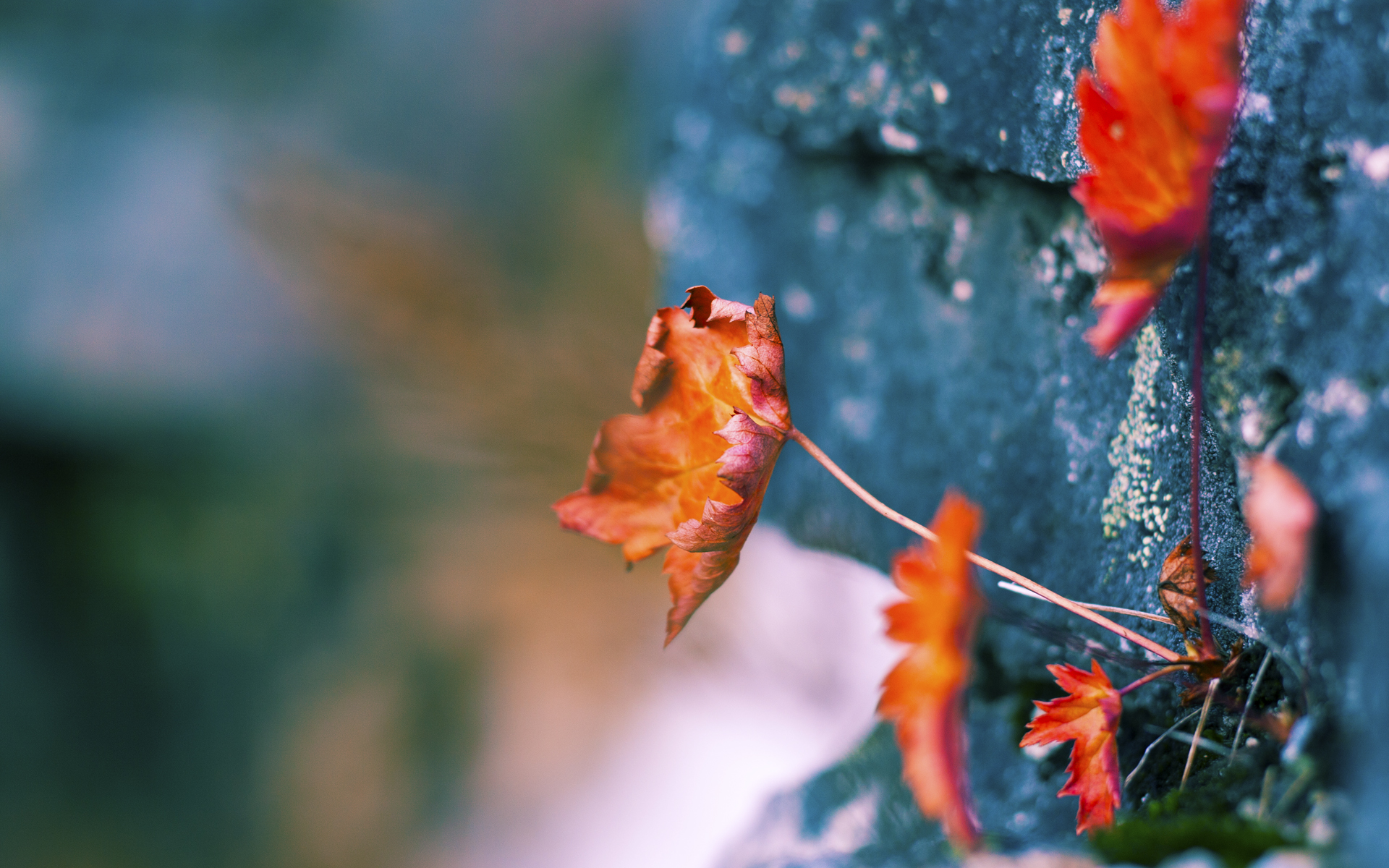 华体会官网-西甲球队结合心理监测优化高压比赛轮换方案 第3张 华体会官网-西甲球队结合心理监测优化高压比赛轮换方案 第3张