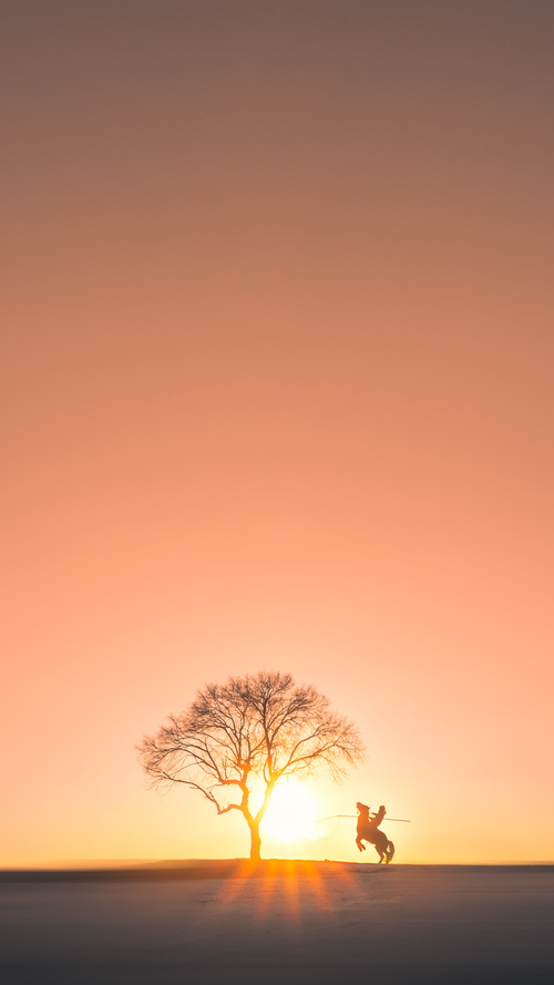 华体会app安装-中国武术联合会推广校园传统武艺，全国武术传统学校比赛