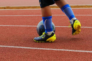 华体会app安装-校园足球缺乏横向联赛结构支撑，我国校园足球训练存在的问题