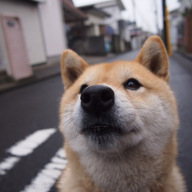 华体会登陆-篮球比赛引入现场战术字幕便于观众理解，篮球比赛入场礼仪
