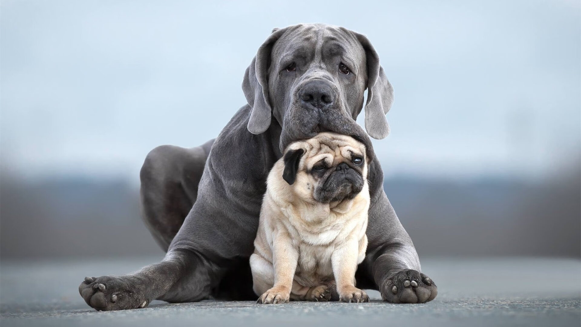 华体会官方网站-高校射箭联赛展开角逐 展现传统魅力，高校射箭比赛