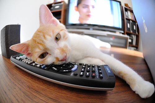 华体会app登入-“阿根廷美洲狮队的防守先锋：马丁·高尔西的持续进步”  第2张