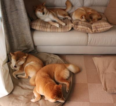 华体会平台-中国足球青少年项目强化反兴奋剂警示教育，青少年反兴奋剂教育平台