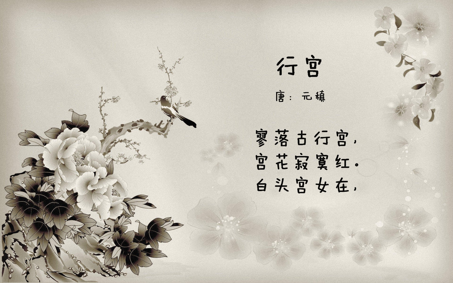 华体会app安装-伯科夫50米仰泳爆发力惊艳全场