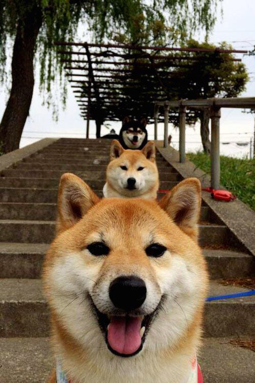 华体会在线下载-体育装备智能芯片实现实时状态监测，智能体育运动设备