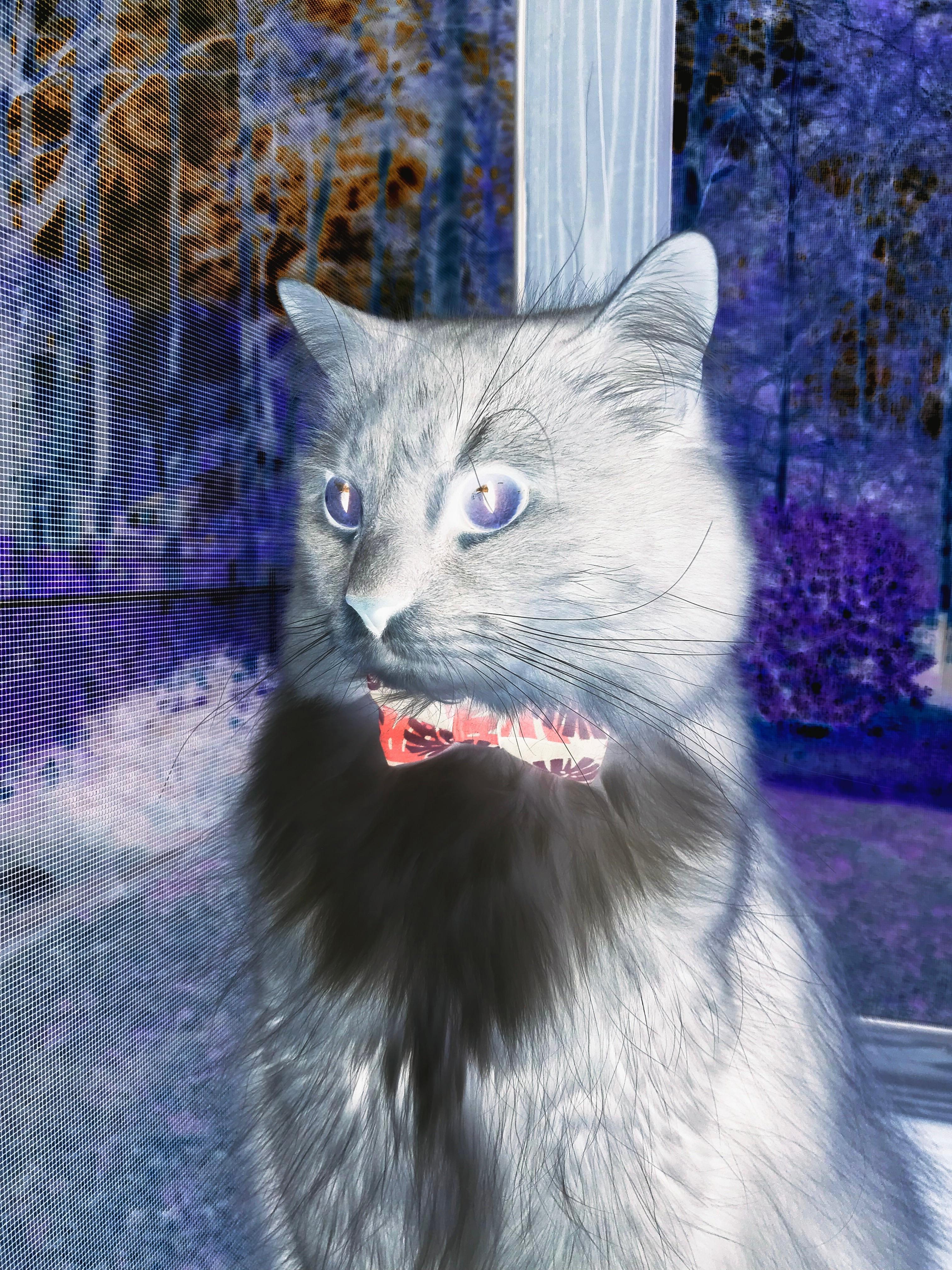 华体会在线下载-国家队引入高原训练营提高身体适应极端环境能力，国家高原体育训练基地