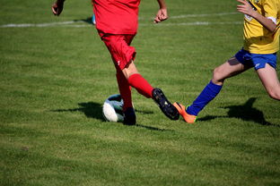 华体会手机在线-拳击锦标赛迎来压轴之战万众瞩目，拳击锦标赛叫什么