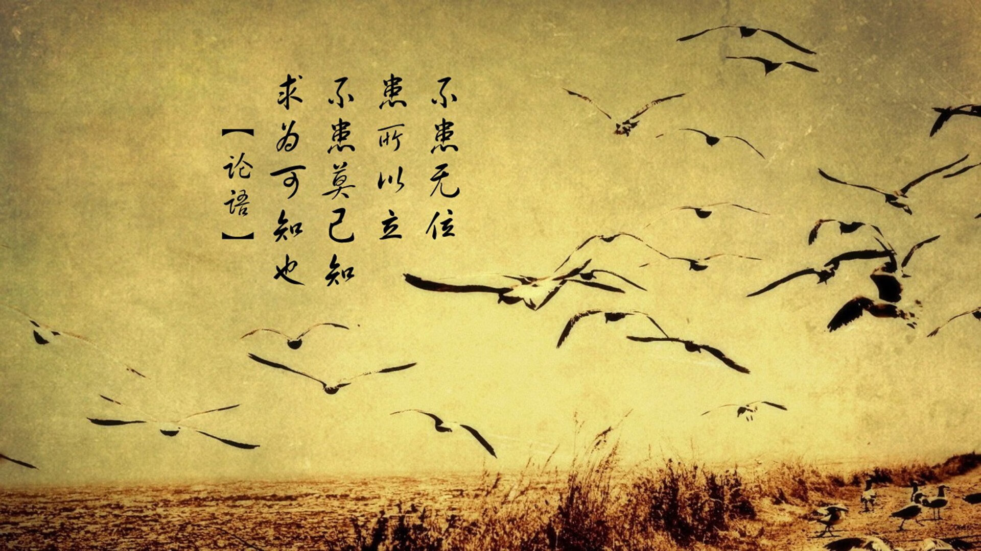 华体会app登入-皇马青训新星涌现，续写球队未来