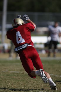 华体会在线-中国足球主教练领导风格对球队战术执行的作用，中国足球队主教练有哪些