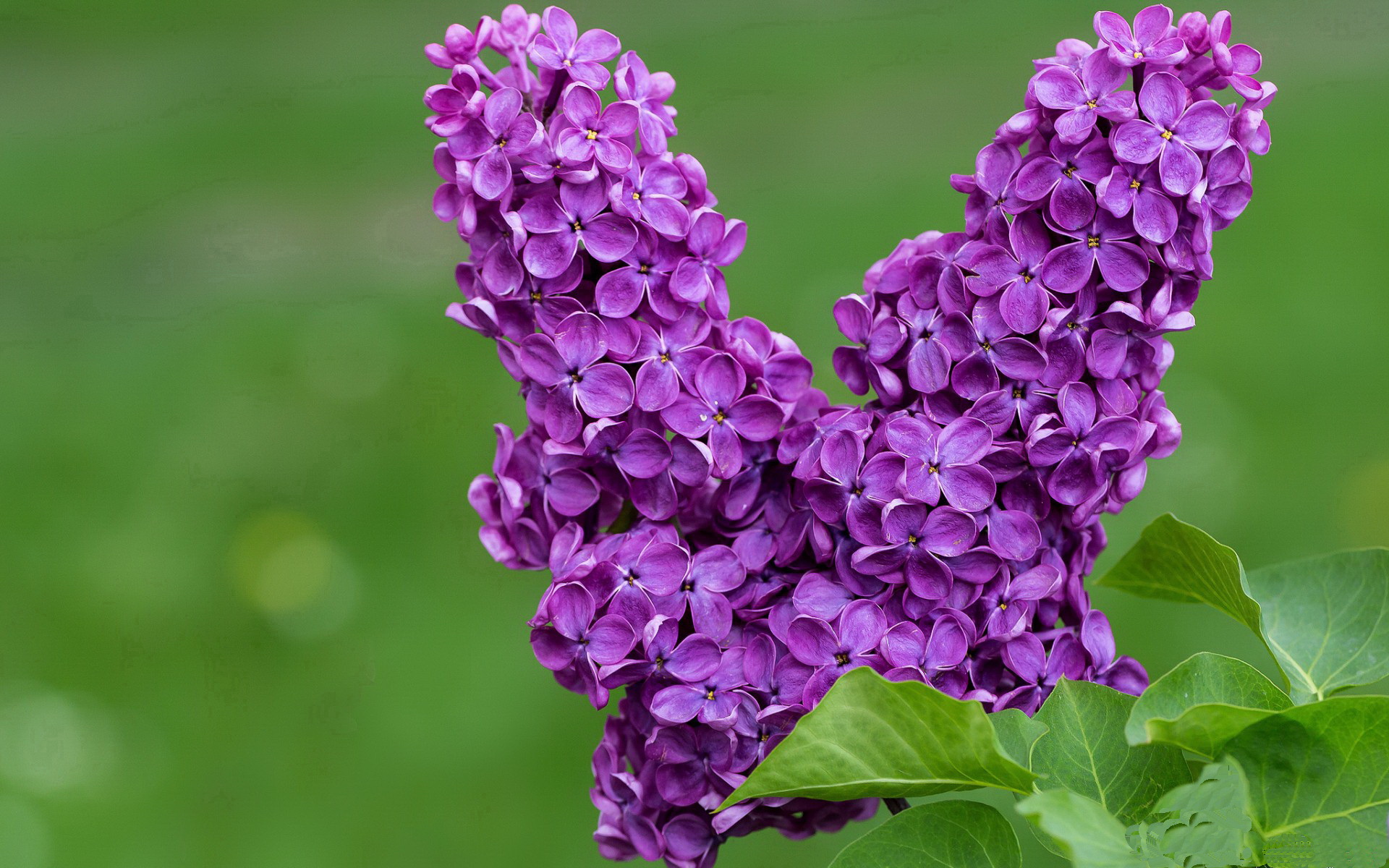 华体会手机在线-中超球队是否具备独立建设训练基地的能力，中超球队都是什么企业