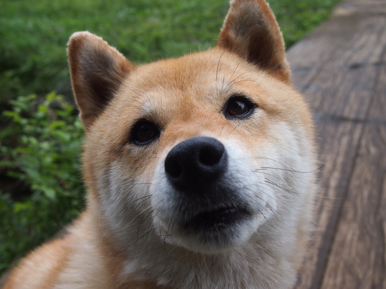 华体会在线-体育场景成为广告创意拍摄主流背景，体育广告形式