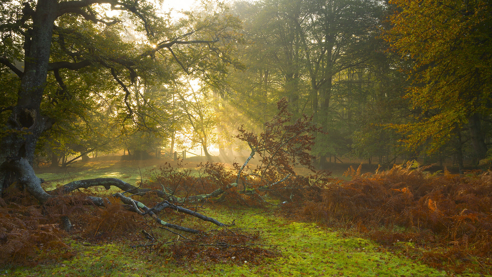 华体会在线-体育场景成为广告创意拍摄主流背景，体育广告形式