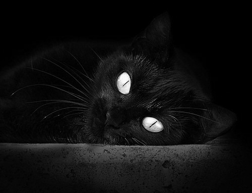 华体会官网入口-俱乐部举办退役球员重聚活动 传承历史文化，球员退役仪式流程